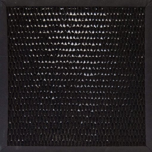 XPOWER CF15 Activated Carbon Filter, 13 x 13 Inch, for X-2480A and X-2580